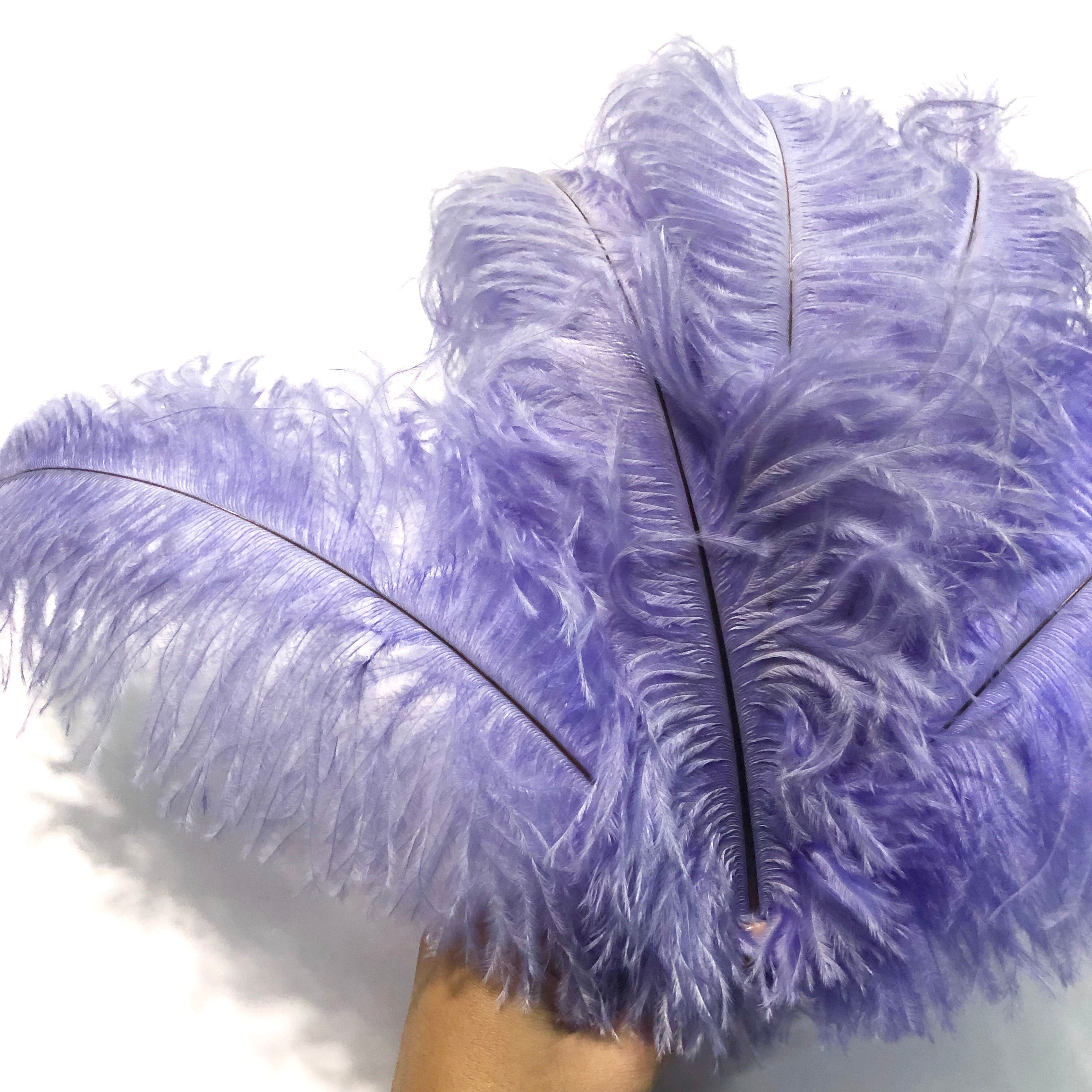 Ostrich Blondine Feather 25-40cm - Lilac
