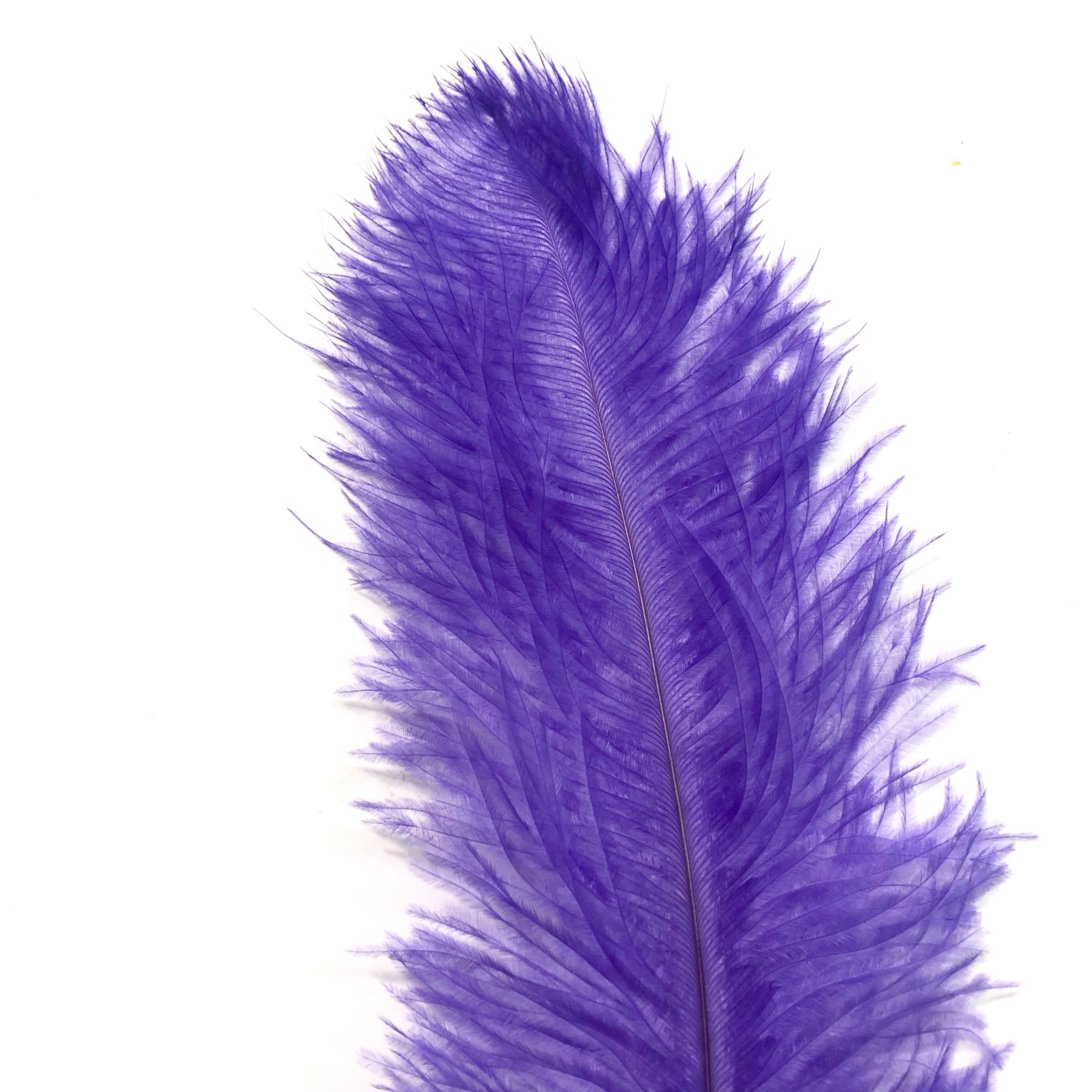Ostrich Blondine Feather 25-40cm - Purple
