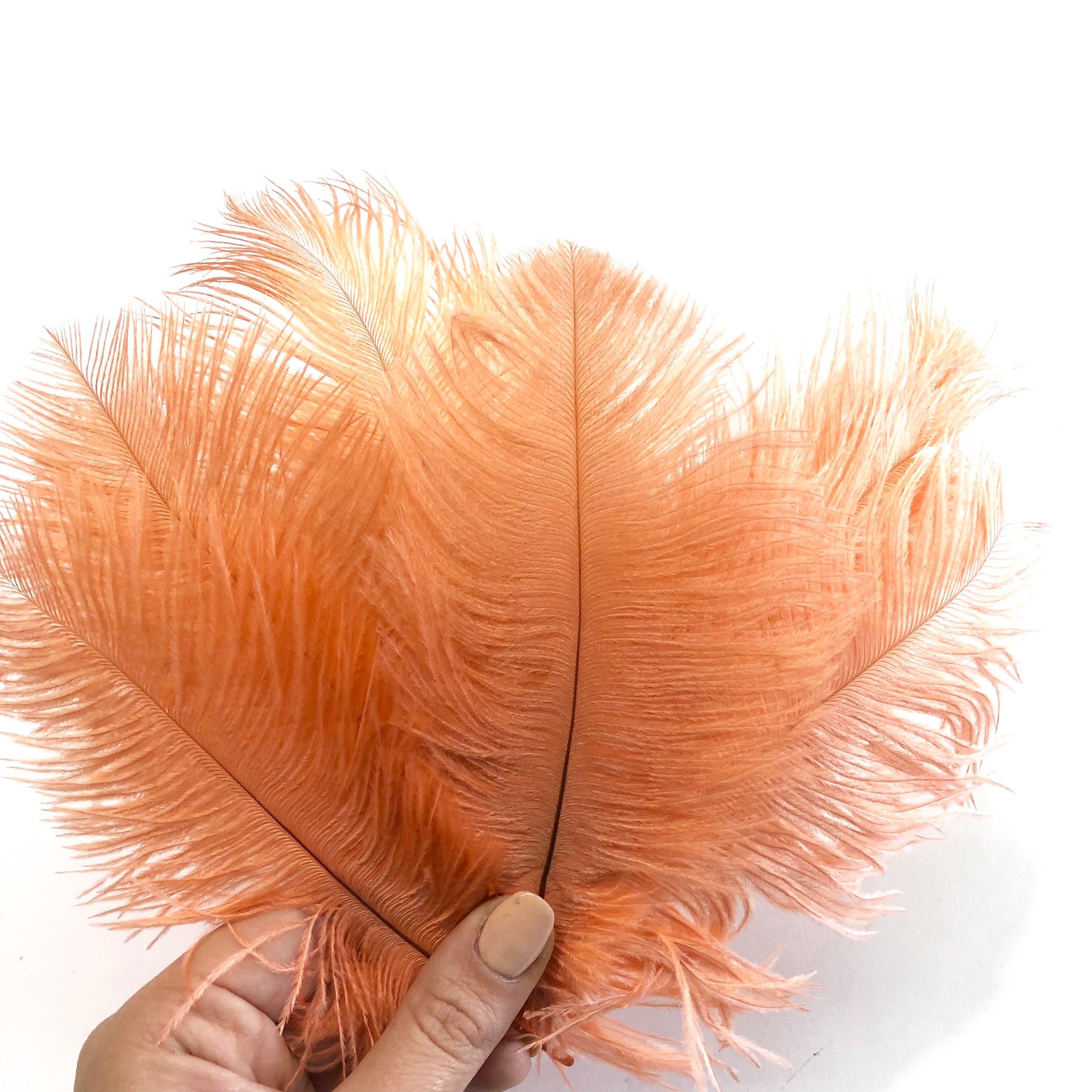 Ostrich Feather Drab 6-15cm x 20 - Apricot