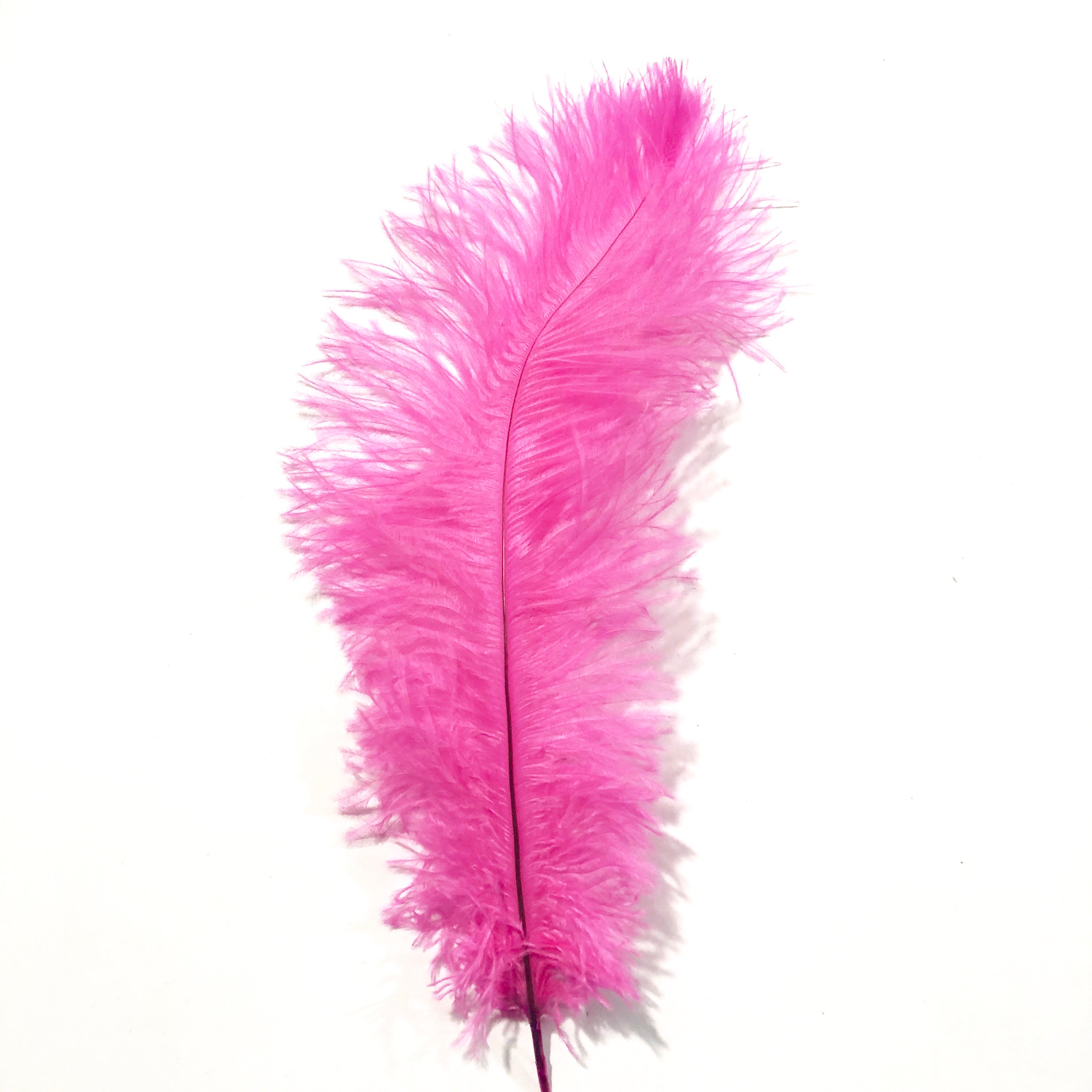 Ostrich Blondine Feather 25-40cm - Hot Pink – Feather.com.au