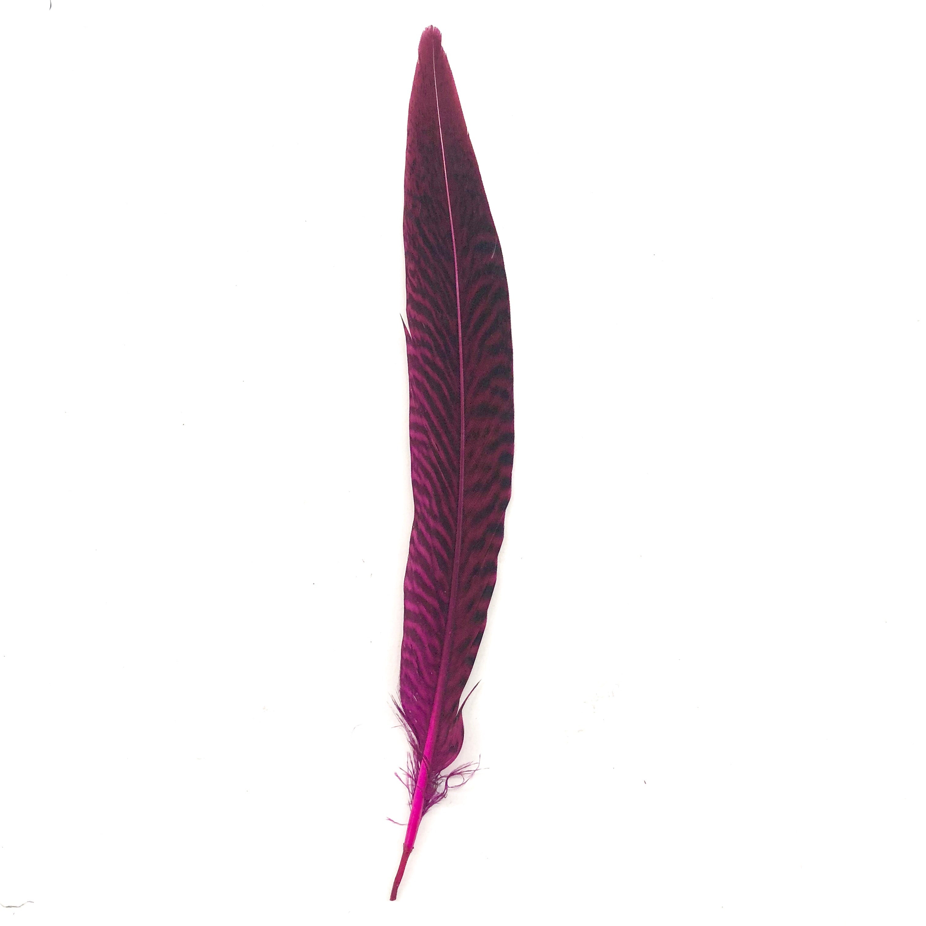 6" to 10" Golden Pheasant Side Tail Feather x 10 pcs - Cerise