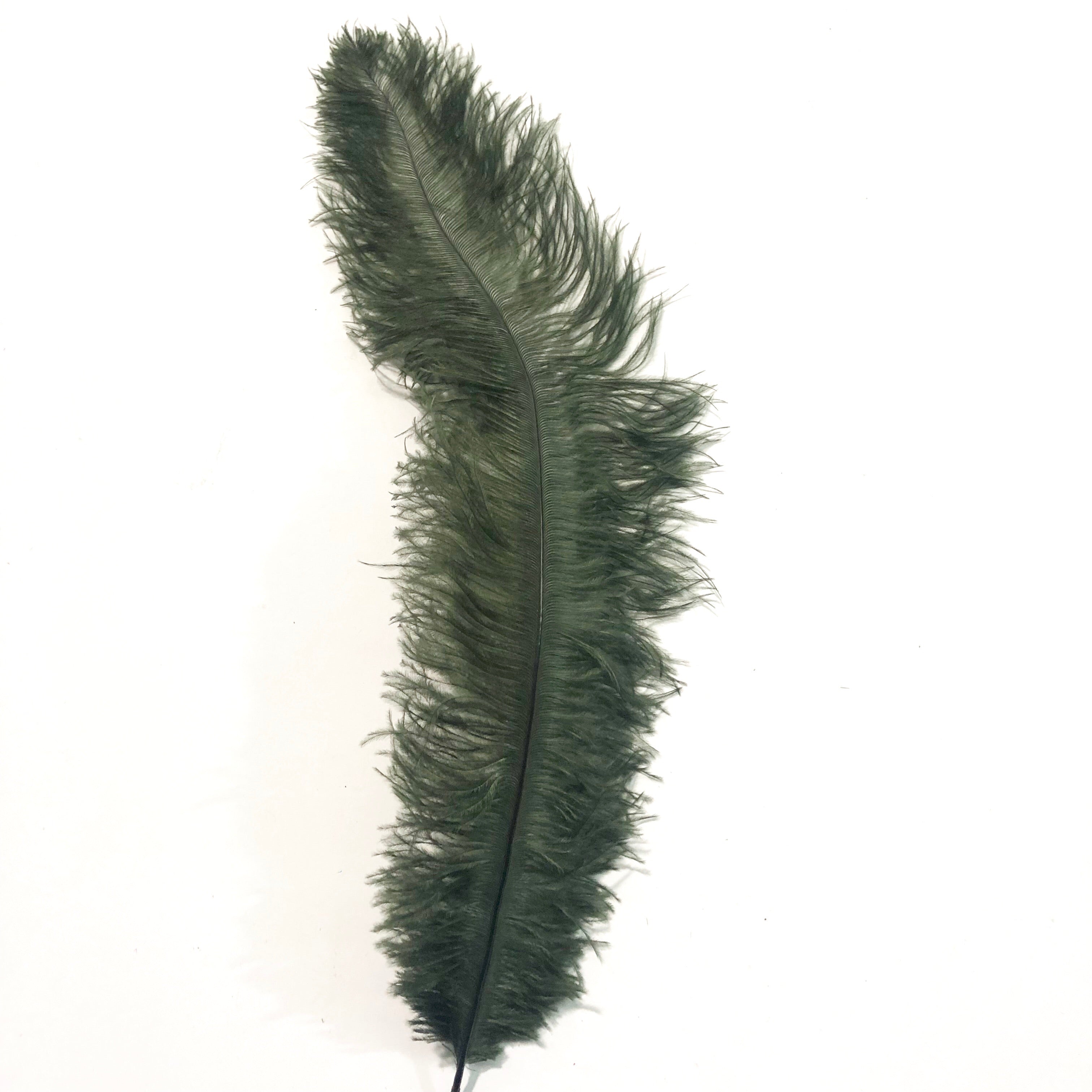 Ostrich Blondine Feather 25-40cm x 5 pcs - Forest Green ((SECONDS))