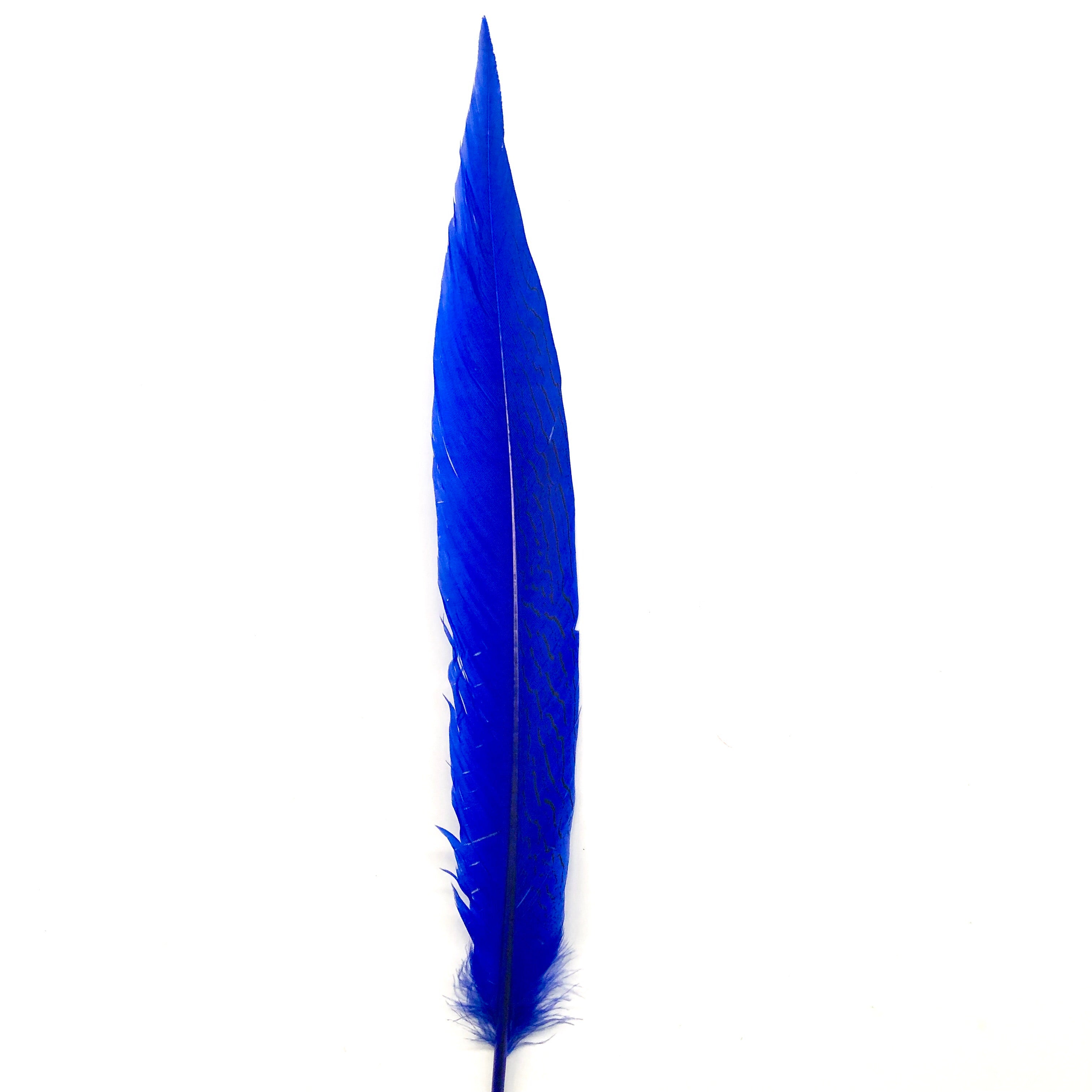 6" to 10" Silver Pheasant Tail Feather - Royal Blue ((SECONDS))