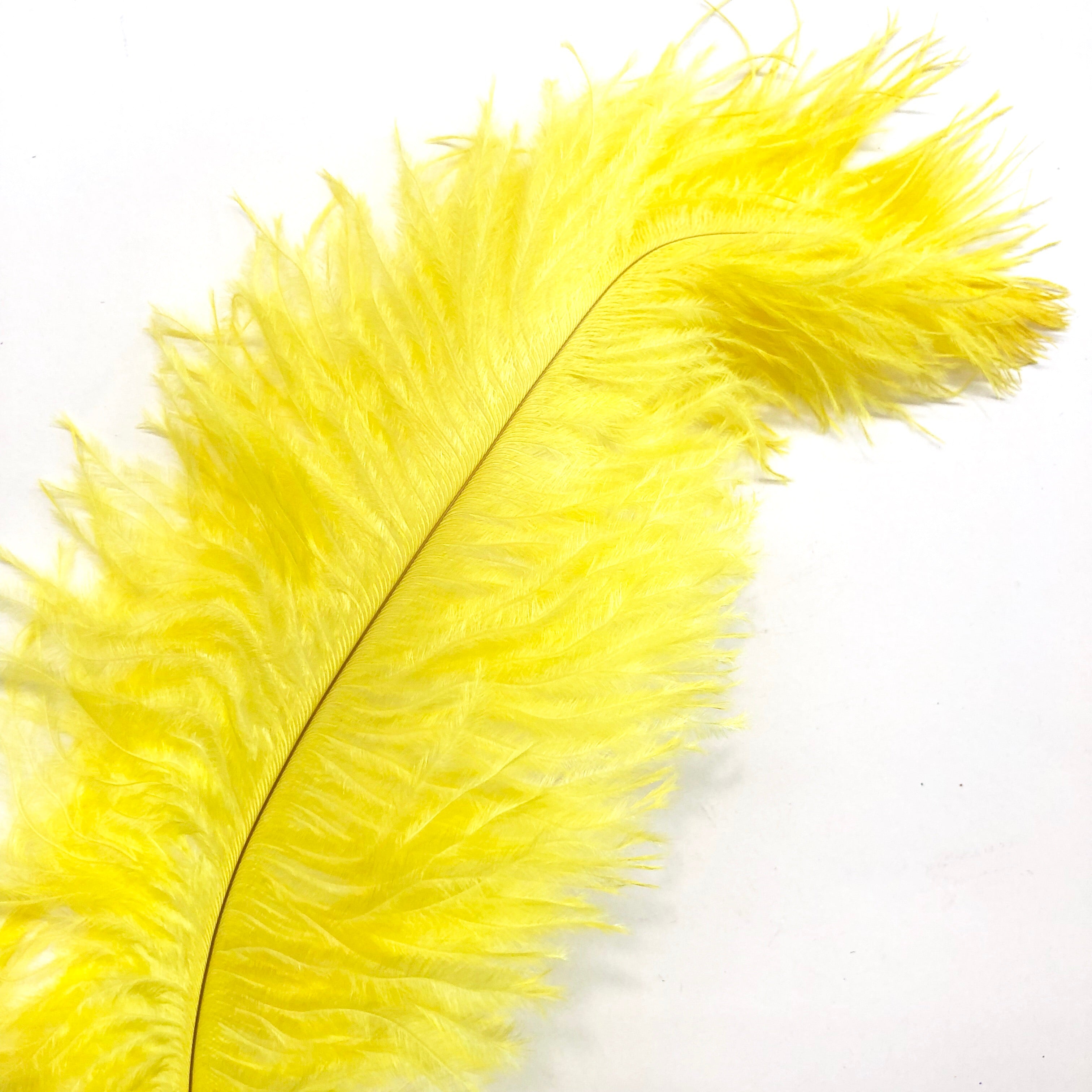 Ostrich Blondine Feather 25-40cm - Yellow