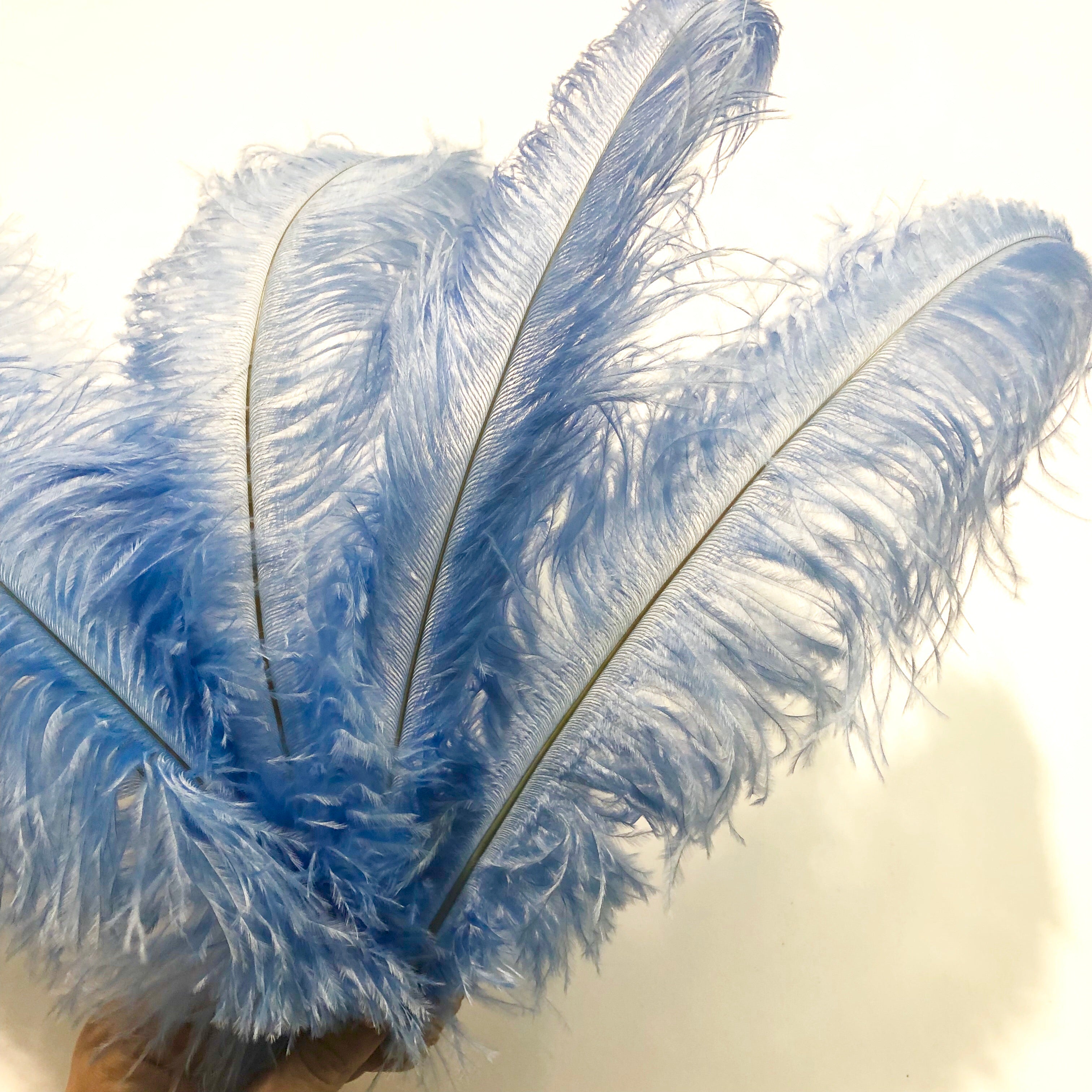 Ostrich Blondine Feather 25-40cm - Light Blue