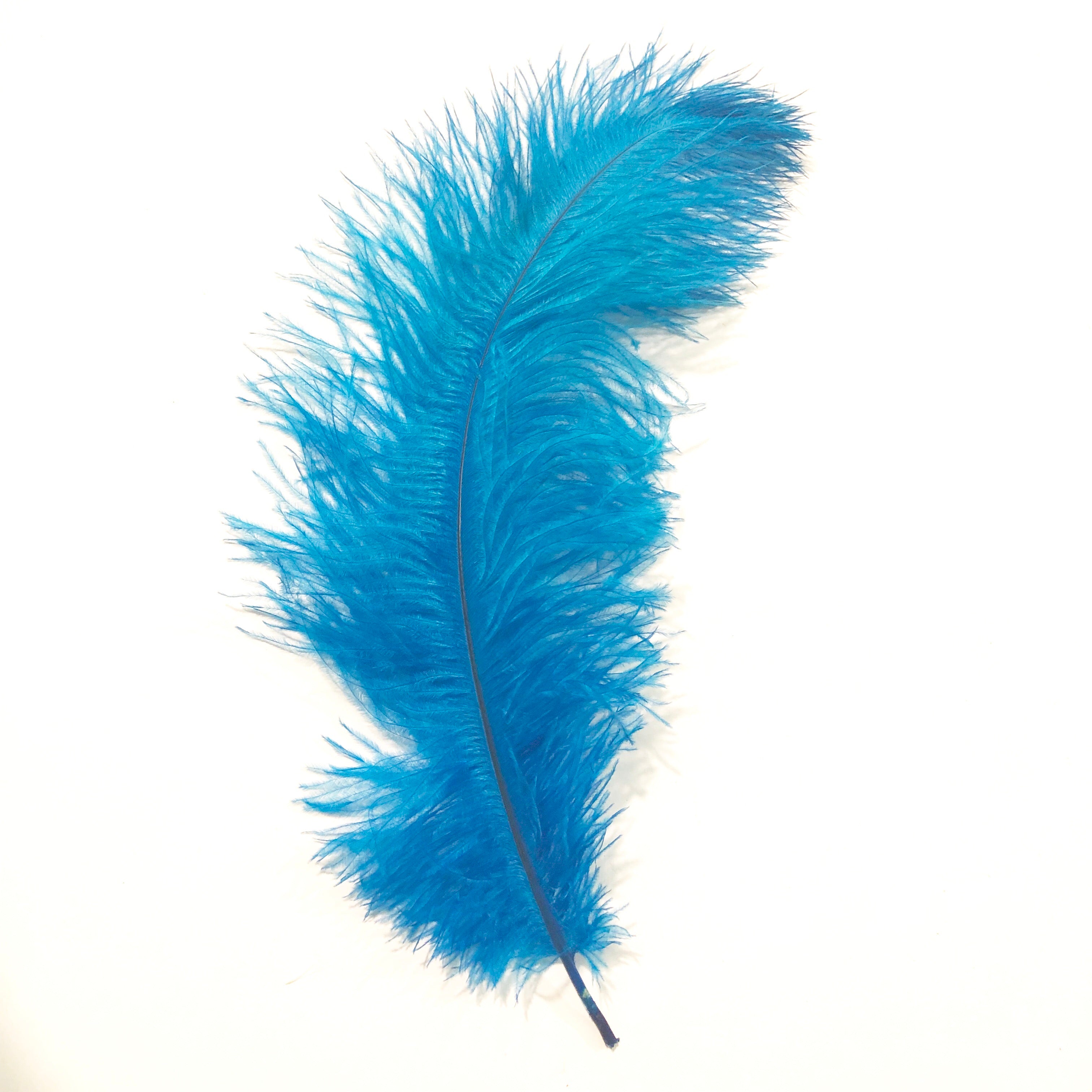 Ostrich Blondine Feather 25-40cm x 5 pcs - Turquoise ((SECONDS))