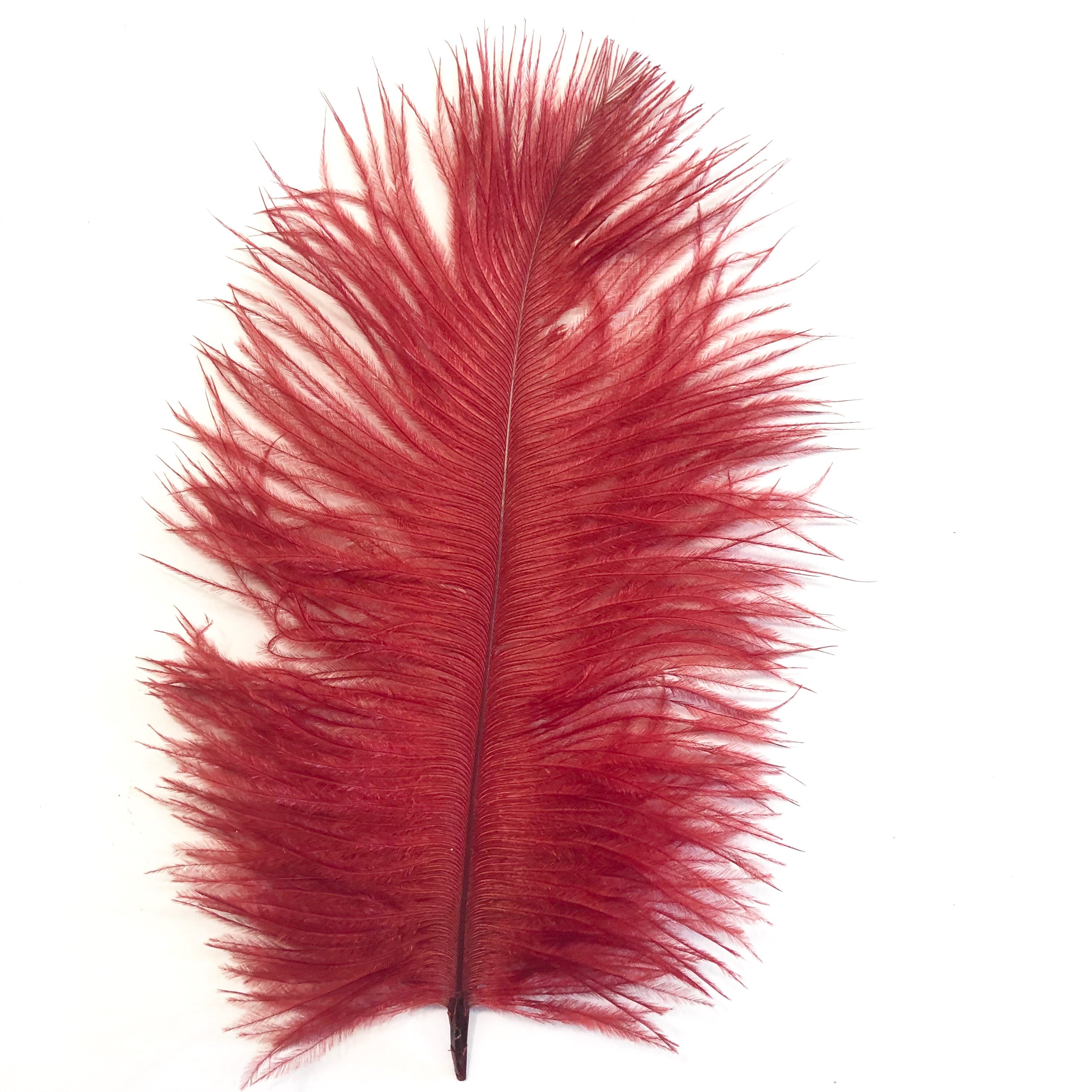 Ostrich Feather Drab 6-15cm x 20 - Blood Red