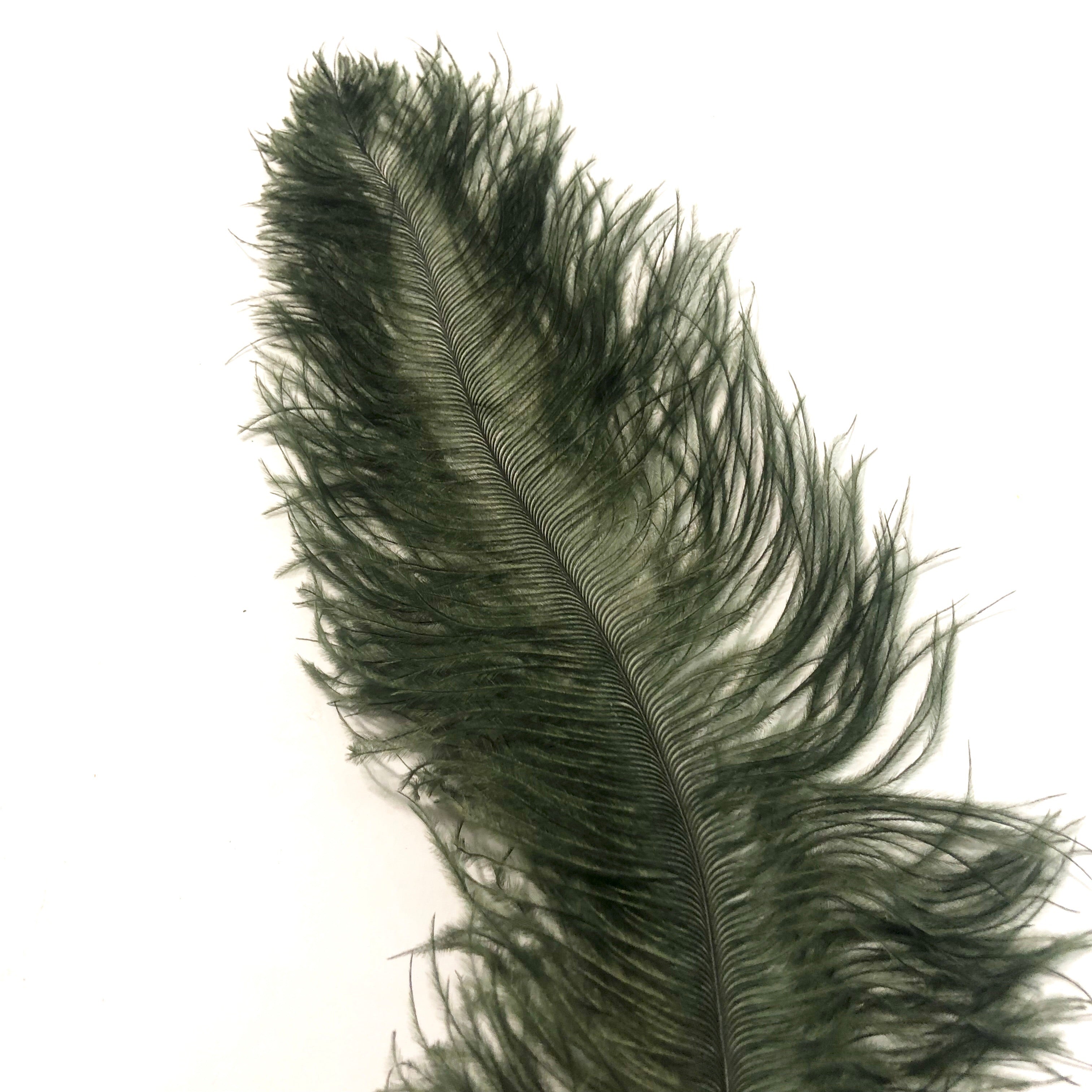 Ostrich Blondine Feather 25-40cm x 10 pcs - Forest Green BULK PACK