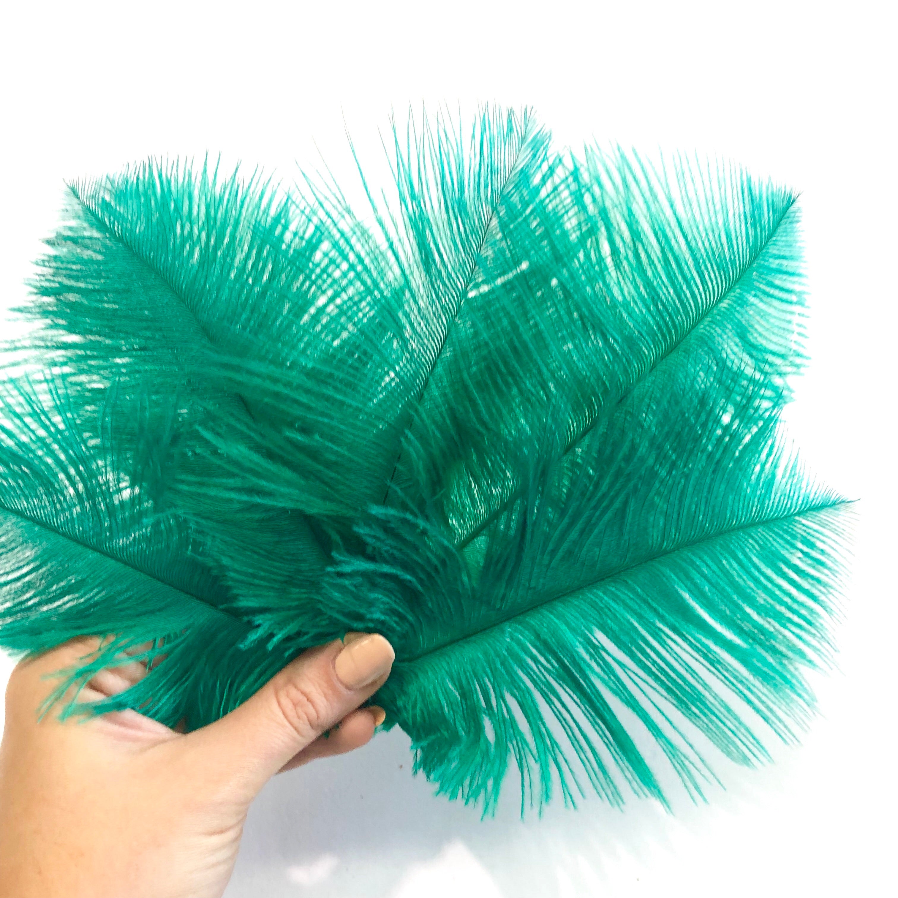 Ostrich Feather Drab 6-15cm x 20 - Green