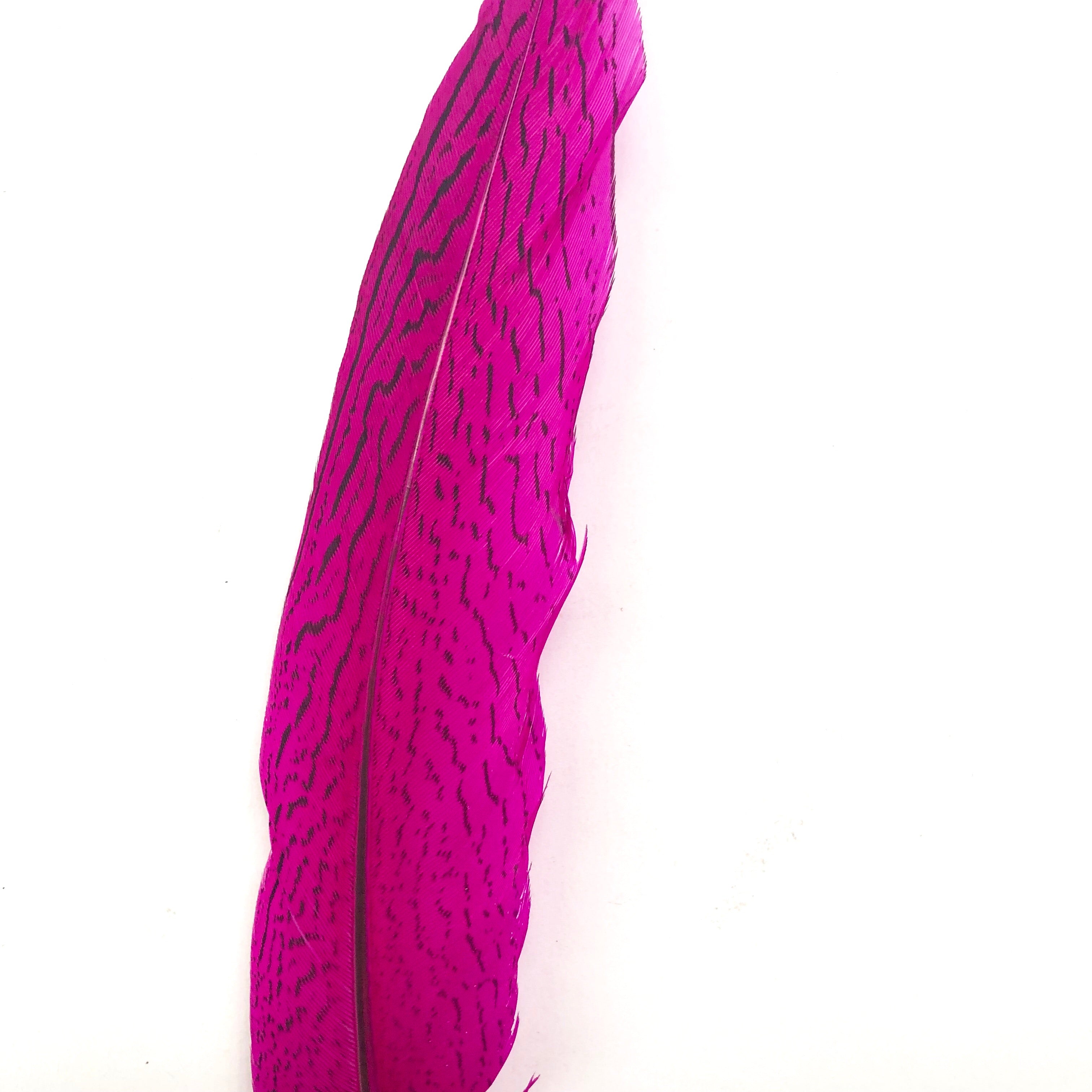 6" to 10" Silver Pheasant Tail Feather - Cerise