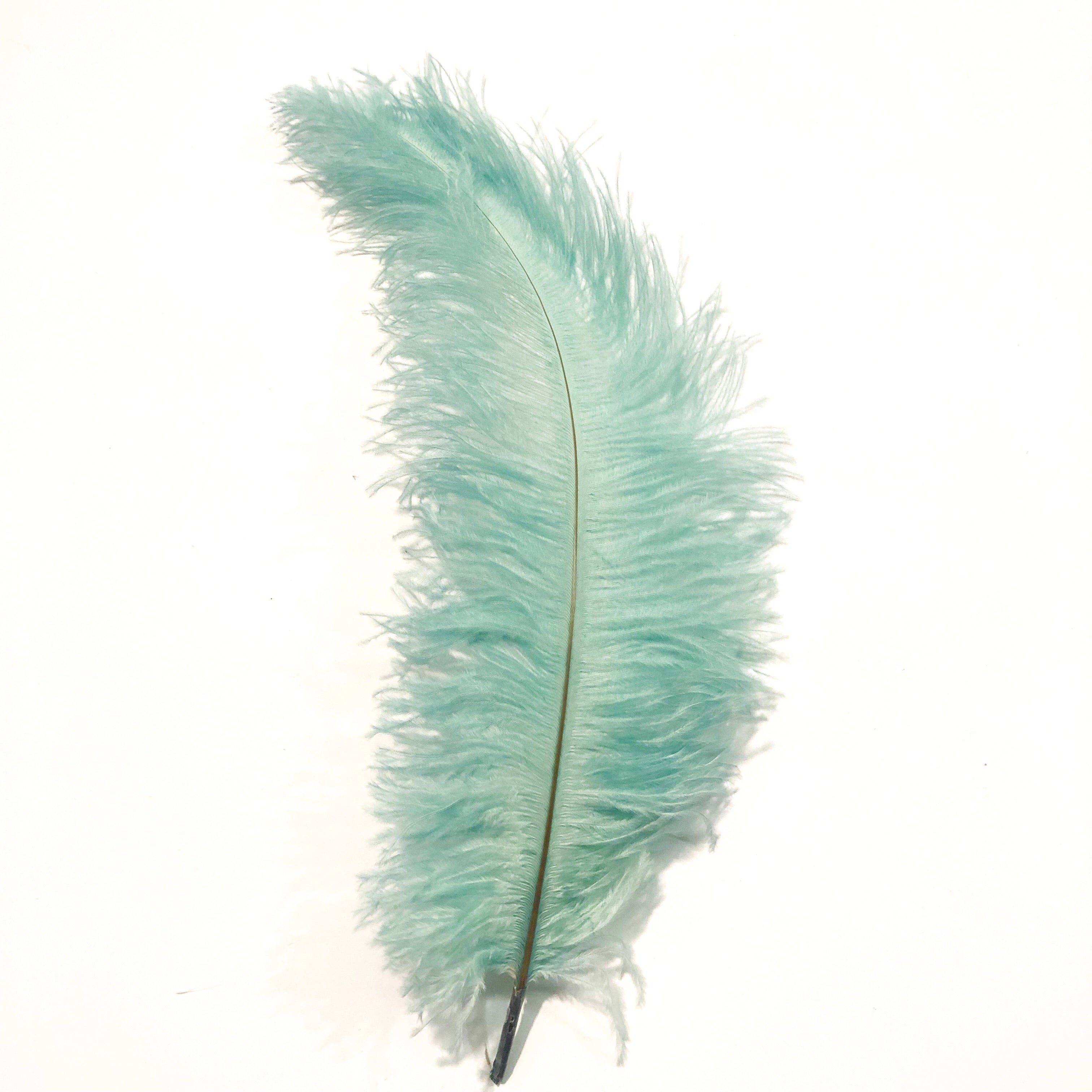 Ostrich Blondine Feather 25-40cm x 5 pcs - Spearmint ((SECONDS))