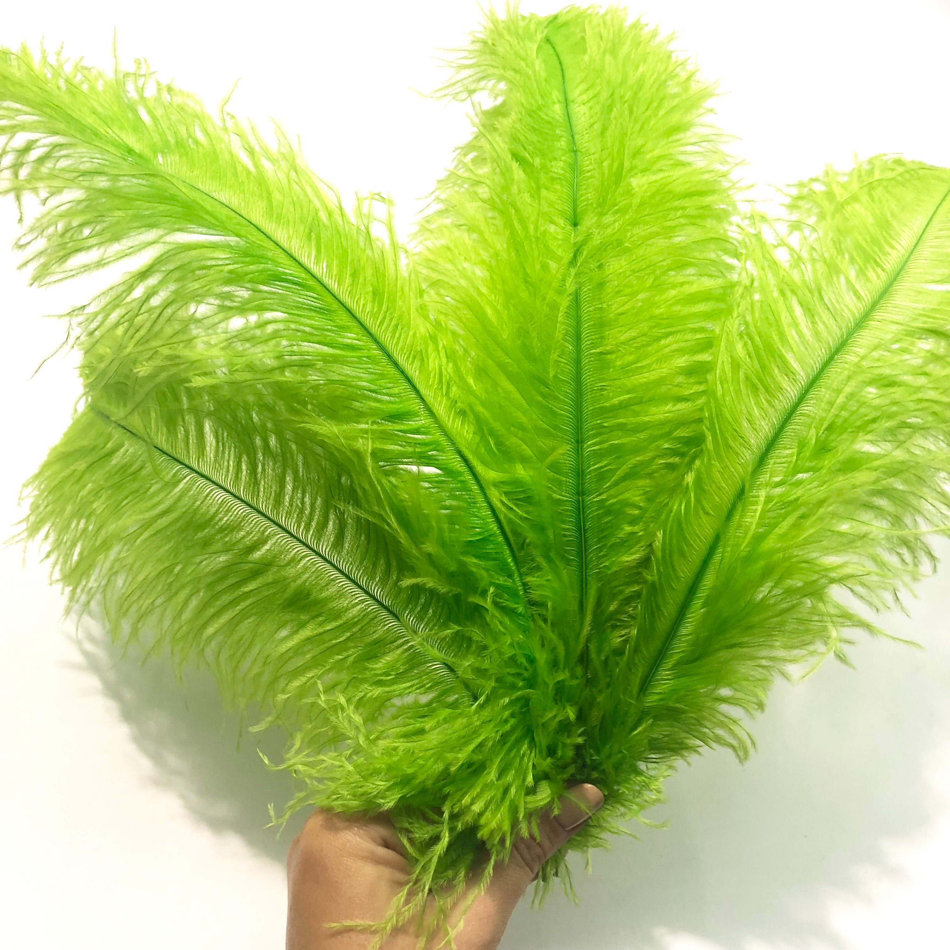 Ostrich Blondine Feather 25-40cm x 5 pcs - Lime Green ((SECONDS))