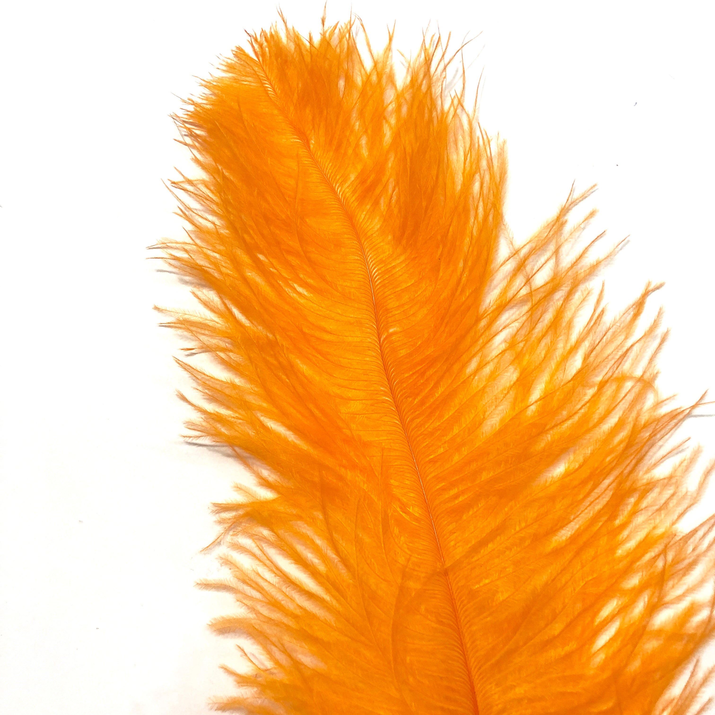 Ostrich Blondine Feather 25-40cm x 5 pcs - Orange ((SECONDS))