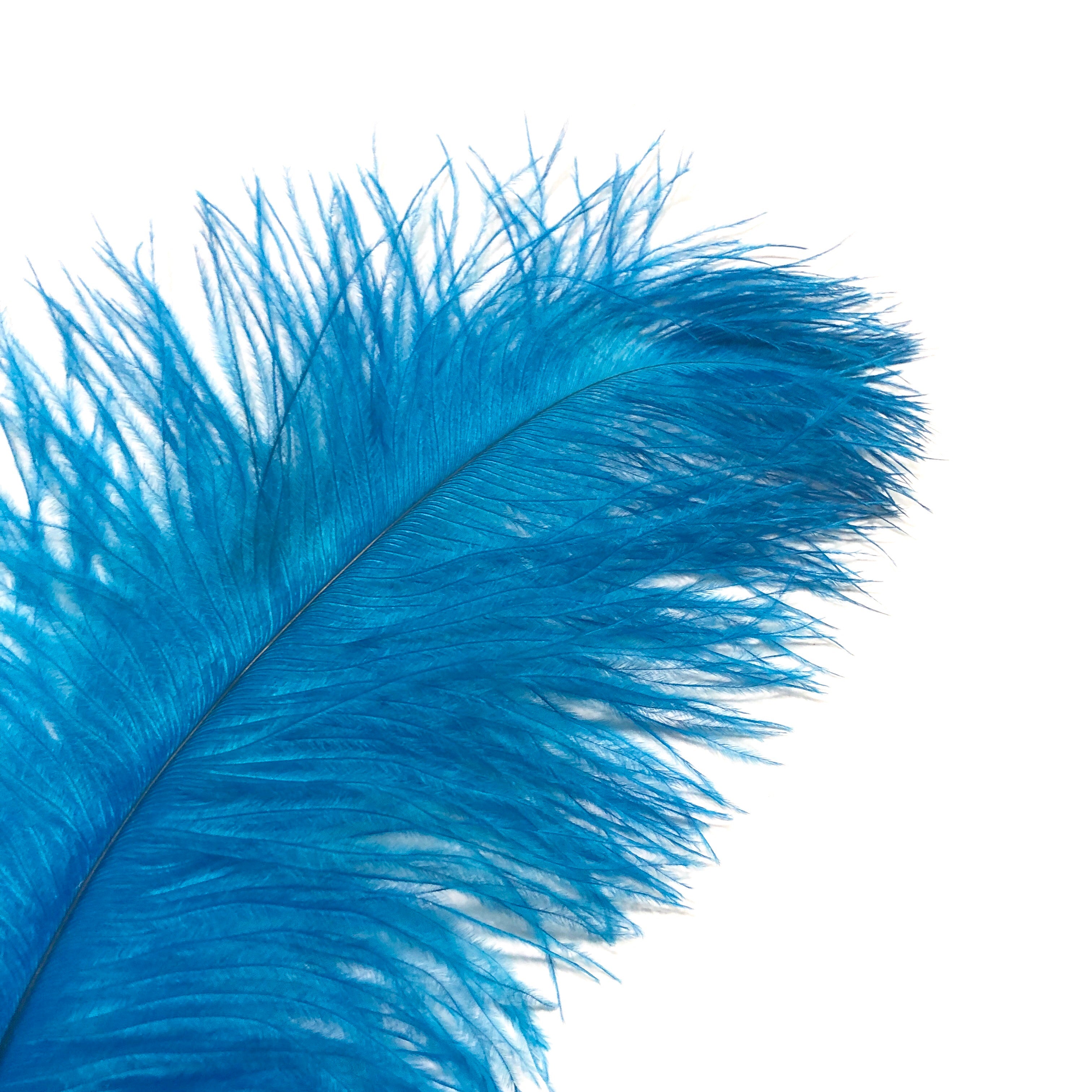 Ostrich Blondine Feather 25-40cm x 5 pcs - Turquoise ((SECONDS))