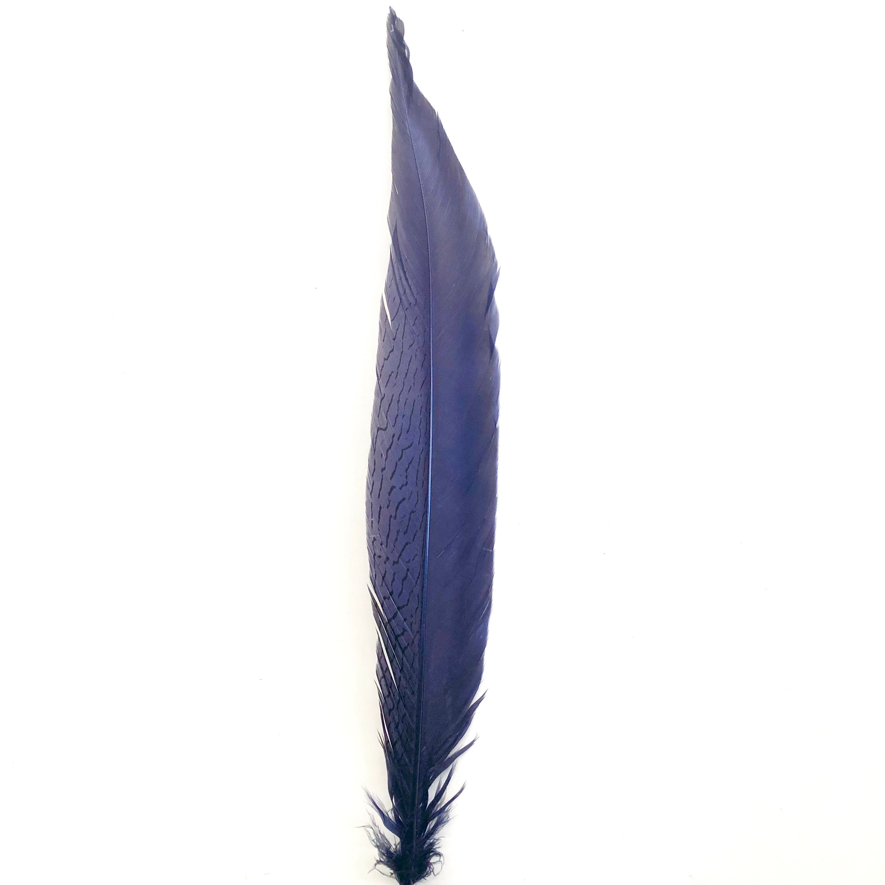 10" To 20" Silver Pheasant Tail Feather - Navy Blue ((SECONDS))