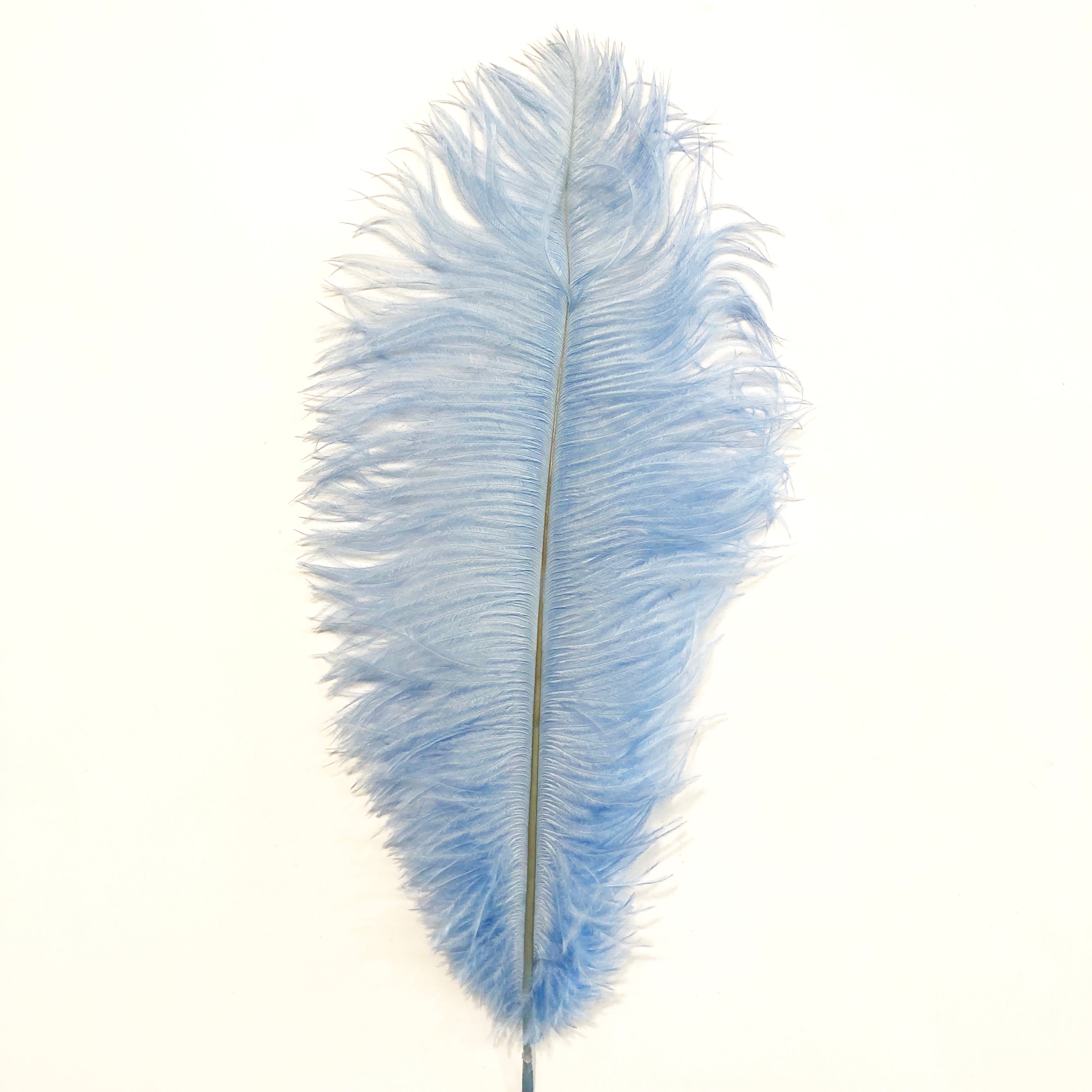 Ostrich Drab Feather 27-32cm - Light Blue
