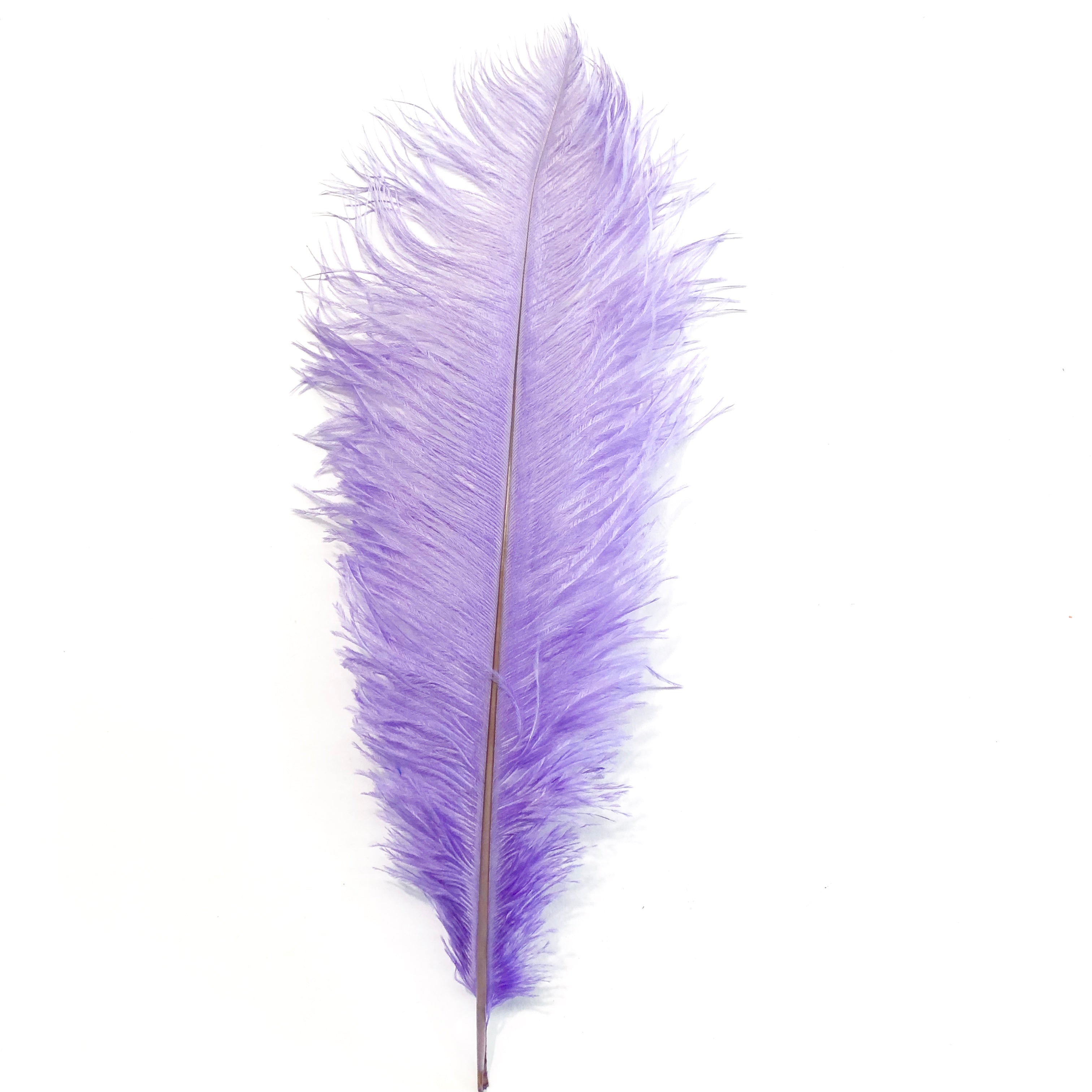 Ostrich Drab Feather 27-32cm - Lilac *Seconds* Pack of 5