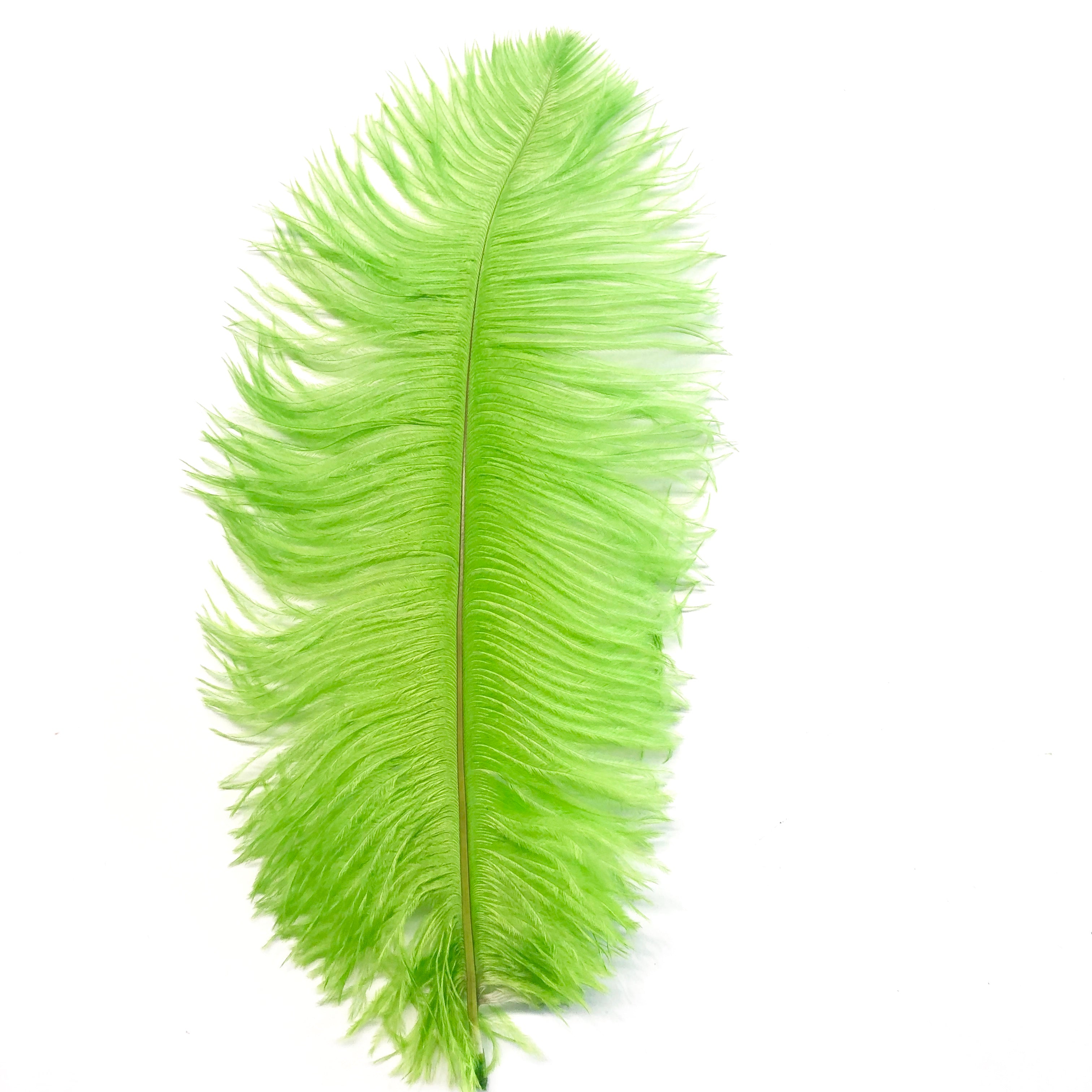 Ostrich Feather Drab 37-42cm x 5 pcs - Lime Green ((SECONDS))