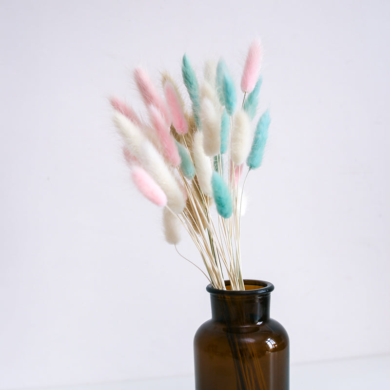 Natural Dried Rabbit Tail Grass Flower Stem Bunch - Primary Brown ((BU ...