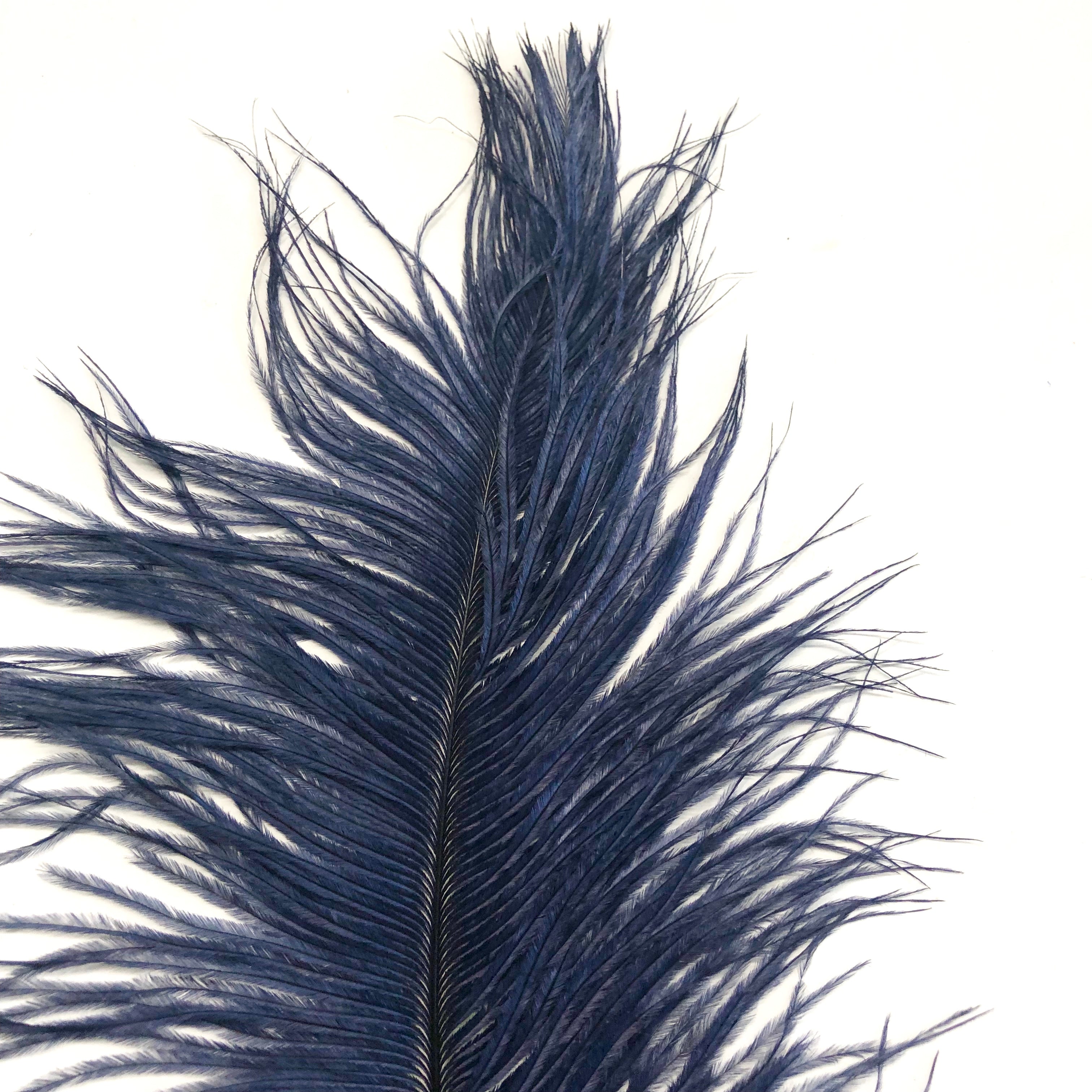 Ostrich Feather Drab 37-42cm - Navy Blue
