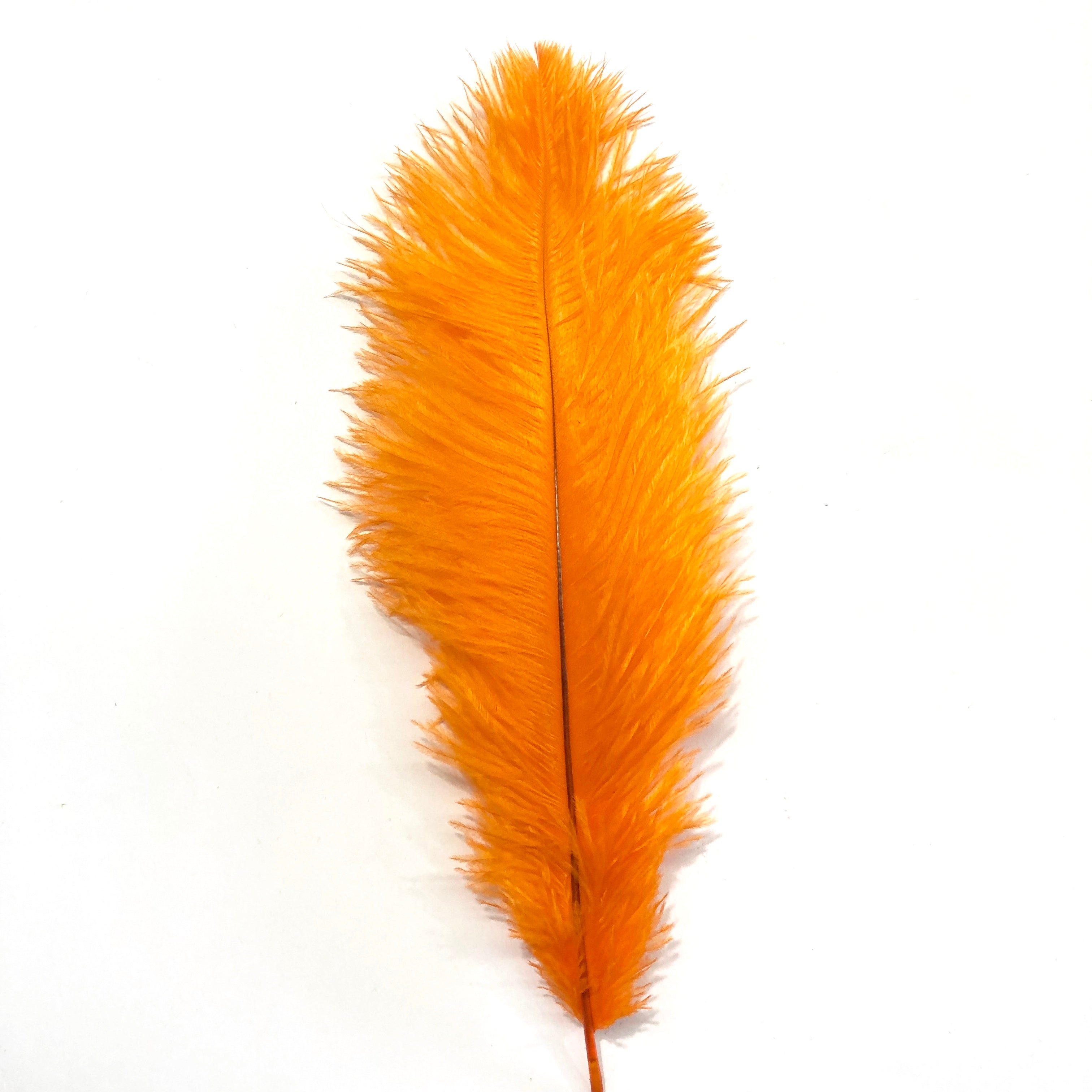Ostrich Feather Drab 37-42cm x 5 pcs - Orange ((SECONDS))