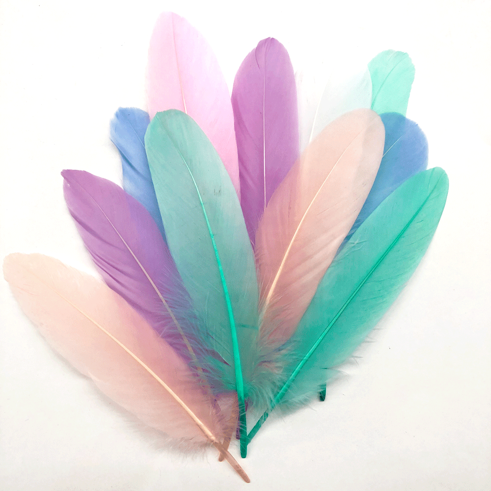 Goose Pointer Feathers 50 pcs - Pastel Assorted
