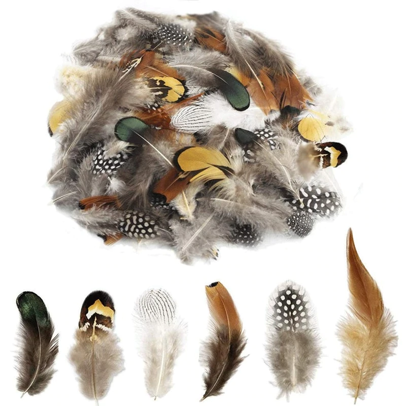 Natural Pheasant Guinea Rooster Peacock Feather Plumage Mix x 50pcs