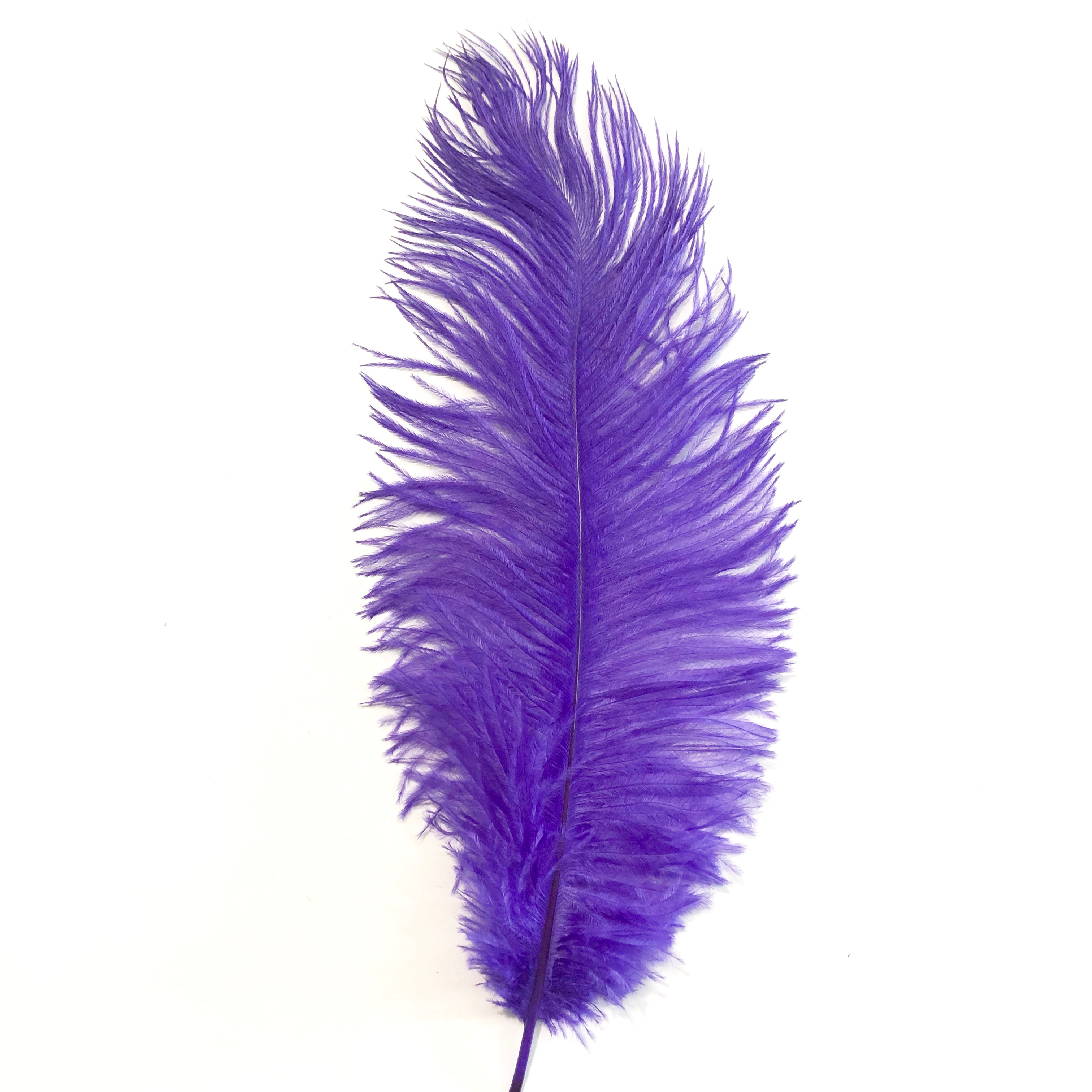 Ostrich Feather Drab 37-42cm - Purple