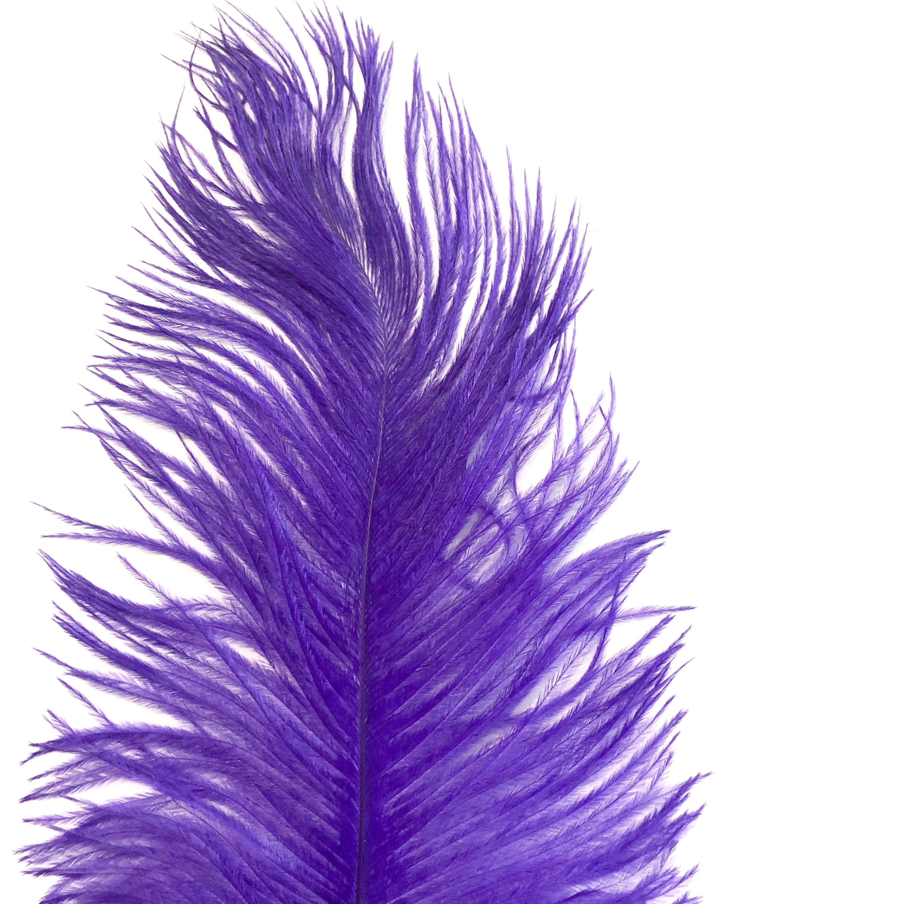 Ostrich Feather Drab 37-42cm x 5 pcs - Purple ((SECONDS))