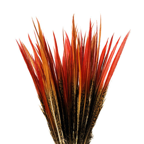 6" to 8" Natural Red Tipped Golden Pheasant Feather