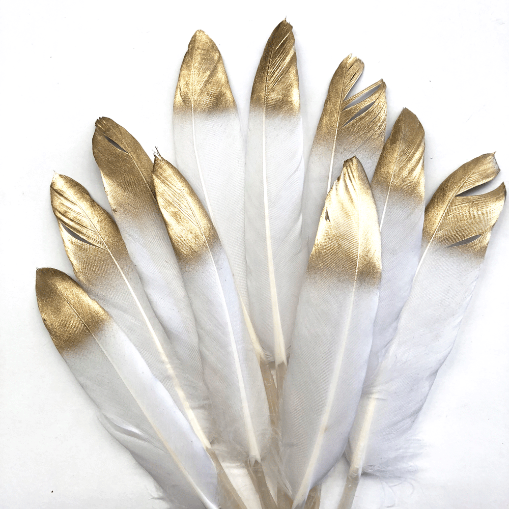 Tiny Goose Pointer Feather White Metallic Gold Tipped x 10 pcs - Style 33