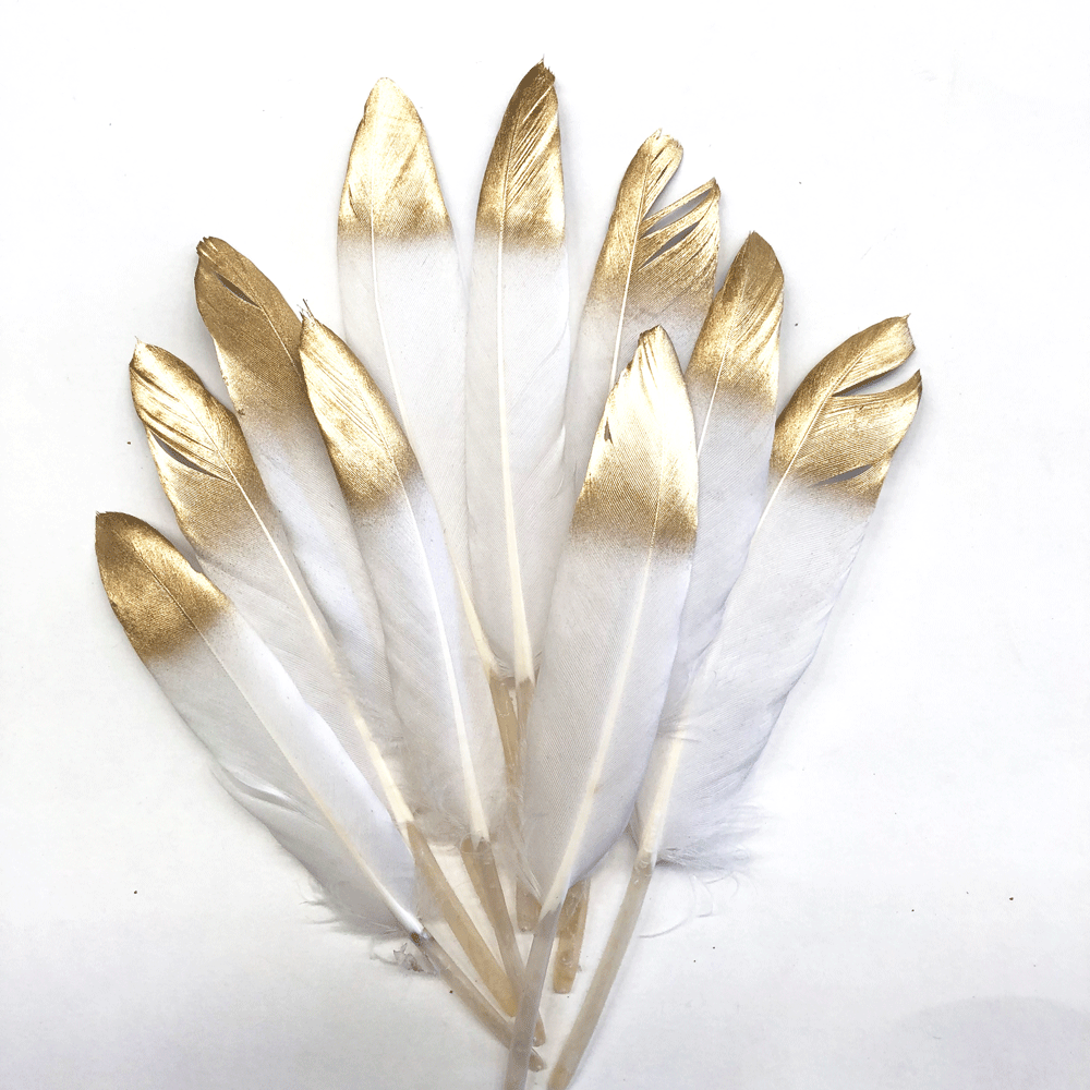 Tiny Goose Pointer Feather White Metallic Gold Tipped x 10 pcs - Style 33