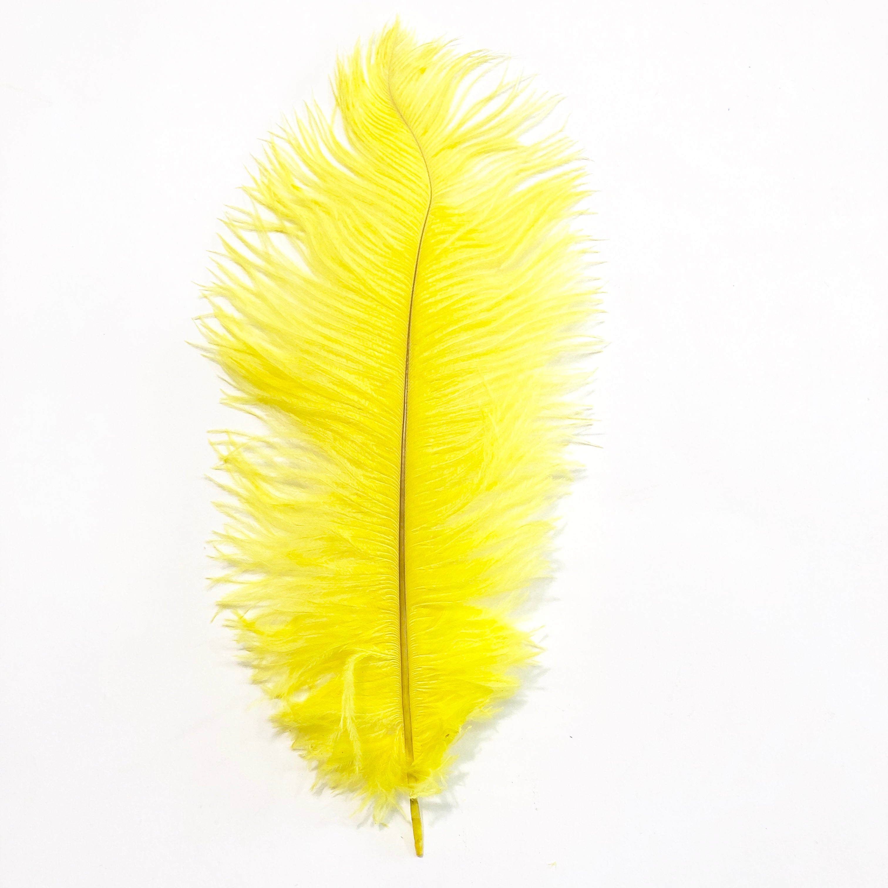 Ostrich Drab Feather 27-32cm - Yellow